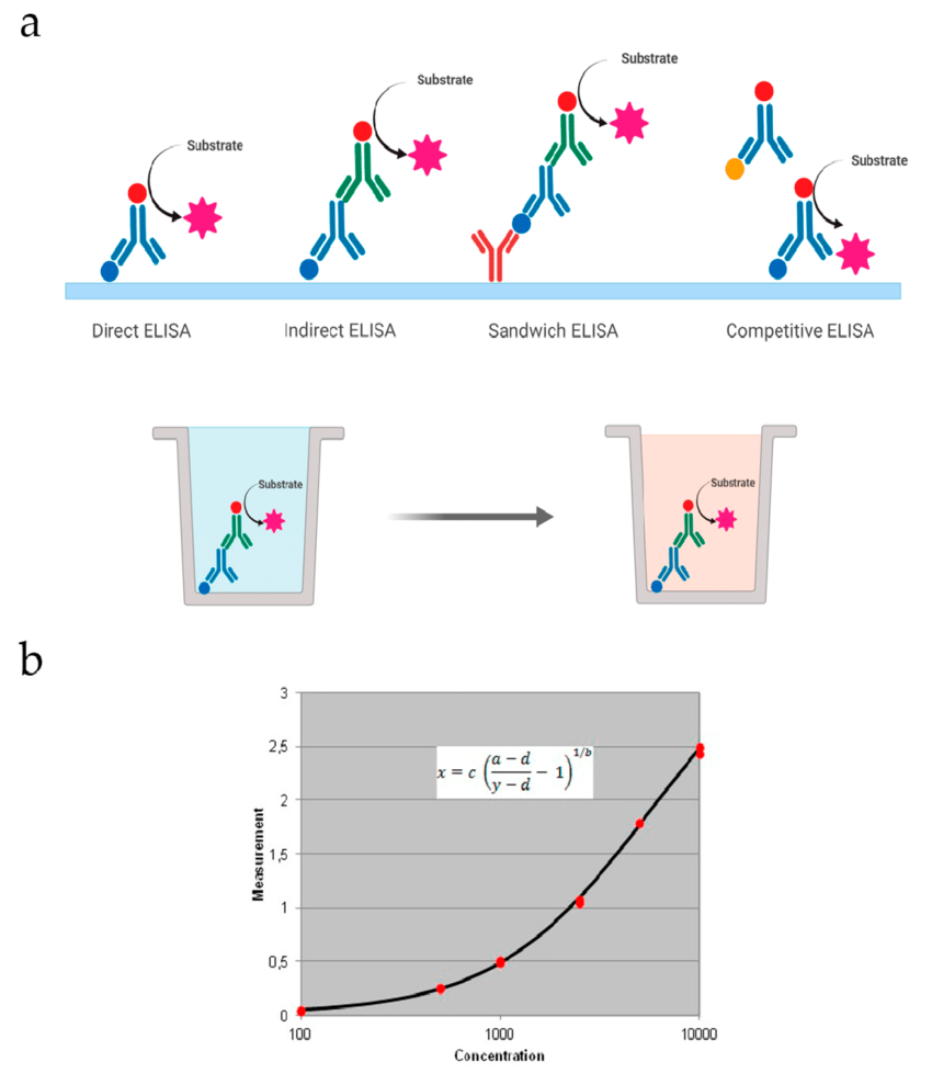 Schematic representation of the various types of ELISA that can be performed on a plate; (b) an example of a standard curve employed to quantify the concentration of an analyte in the ELISA assay, in this case using a four parameter logistic regression.