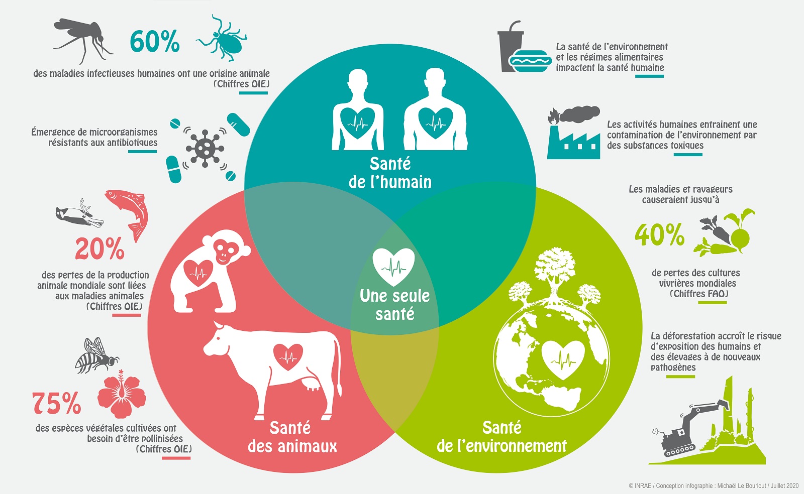 One Health, « une seule santé ».