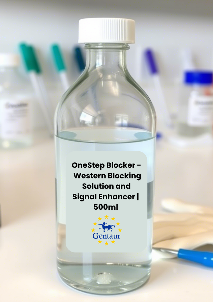OneStep Blocker - Western Blocking Solution and Signal Enhancer 